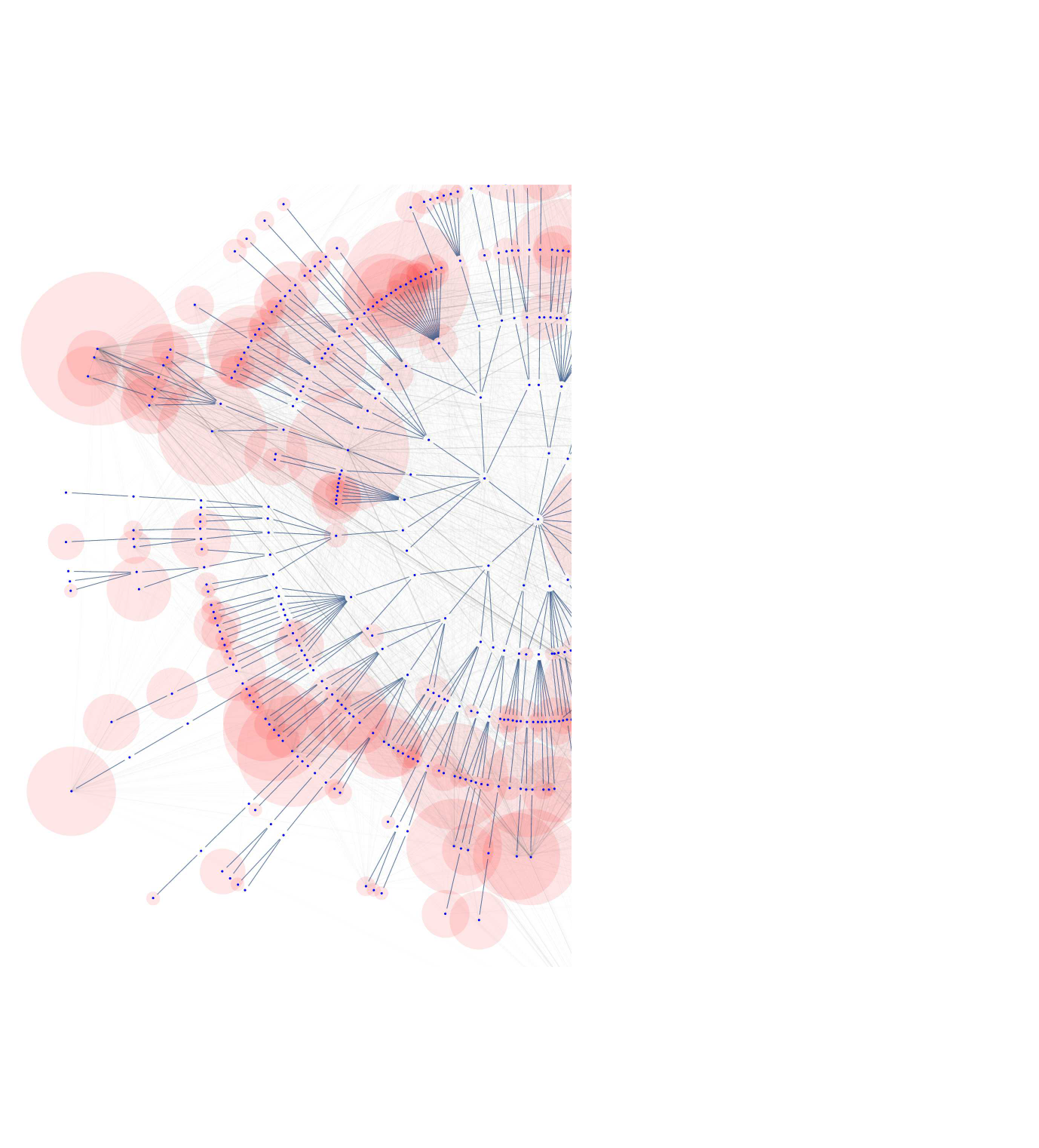 doids-11-2021-portion-north-star-review-board